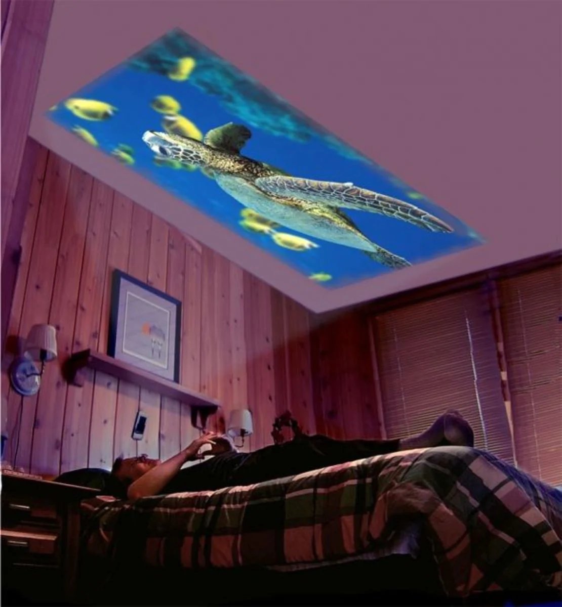 Limited time offerš„Hoaptitoele MiniProjector