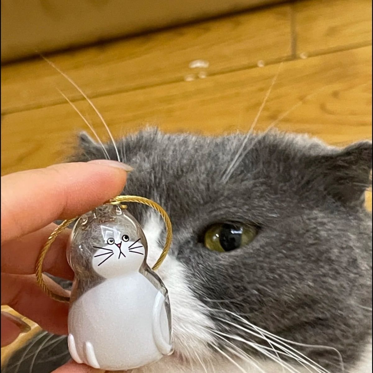 My Pet Hair Storage Pendant