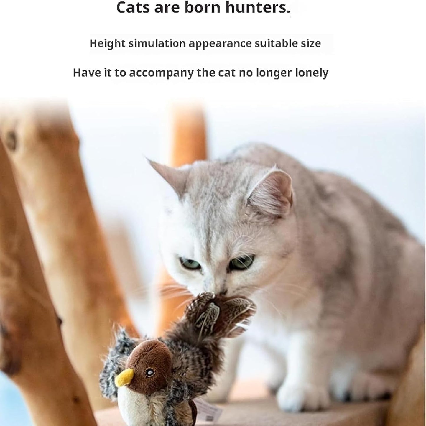 FlickerFeather – Ignite Your Cat's Wild Hunt And Pure Joy