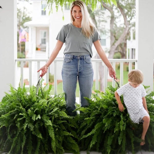 💥THIS WEEK'S SPECIAL PRICE $19.99🌱UV RESISTANT LIFELIKE ARTIFICIAL BOSTON FERN