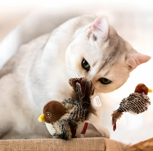 FlickerFeather – Ignite Your Cat's Wild Hunt And Pure Joy