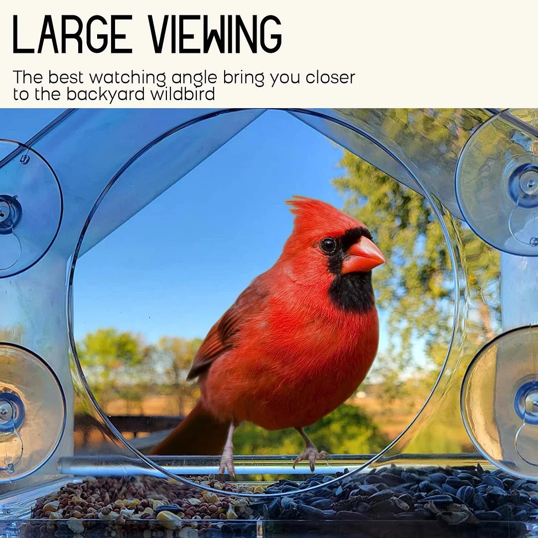 Window Bird Feeder For Outside