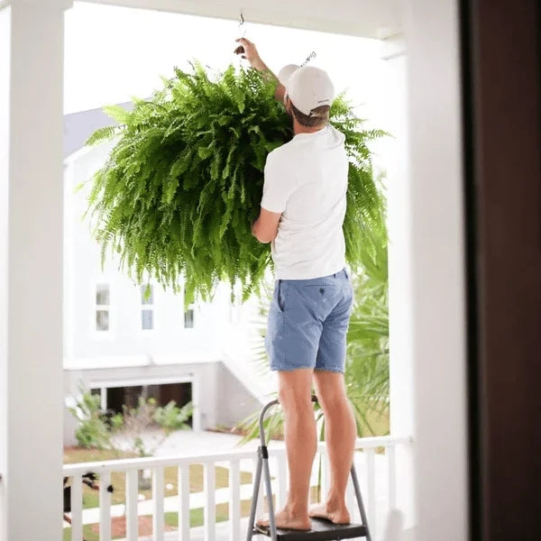 💥THIS WEEK'S SPECIAL PRICE $19.99🌱UV RESISTANT LIFELIKE ARTIFICIAL BOSTON FERN