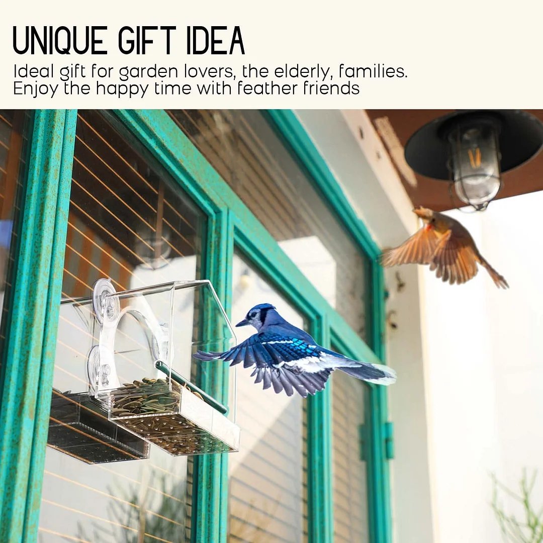 Window Bird Feeder For Outside
